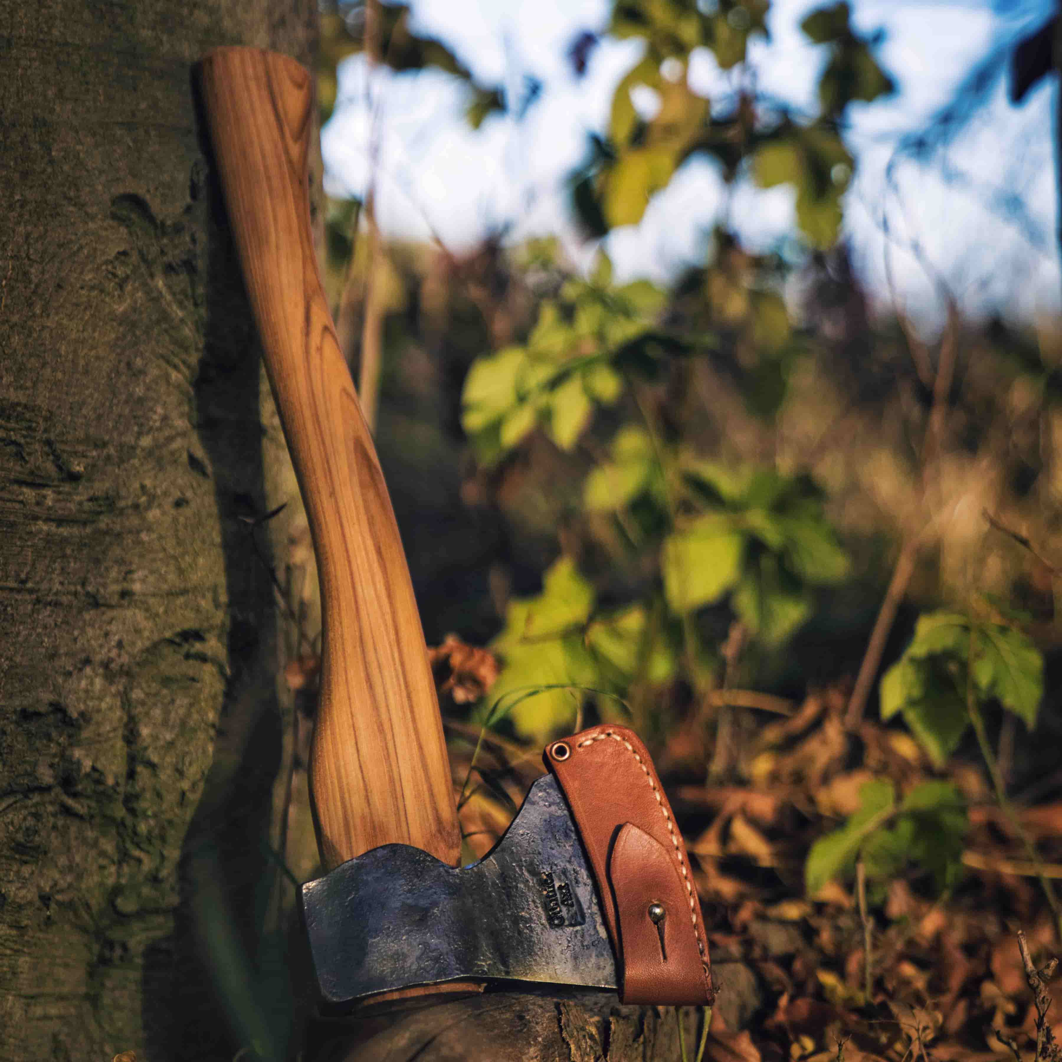 Ein Beil von Mirko Günther im Wald mit Lederhülle